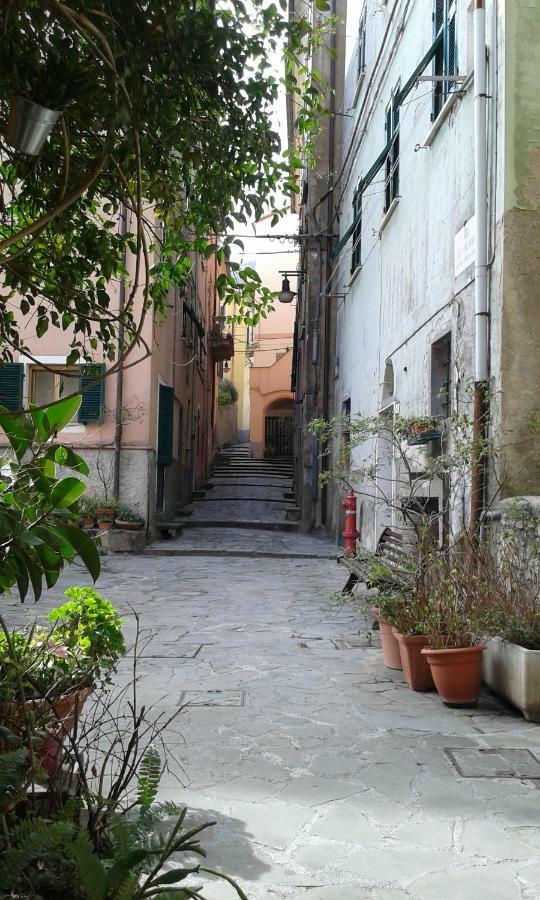 Ferienwohnung Il Nido Delle Taccole Fezzano  Exterior foto